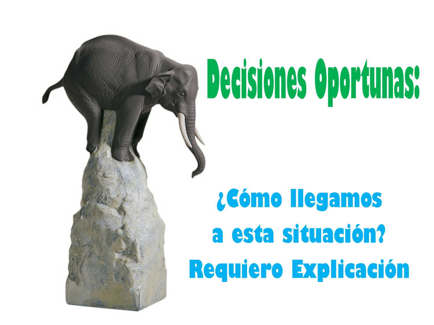 ELEFANTE DECISIONES OPORTUNAS 3